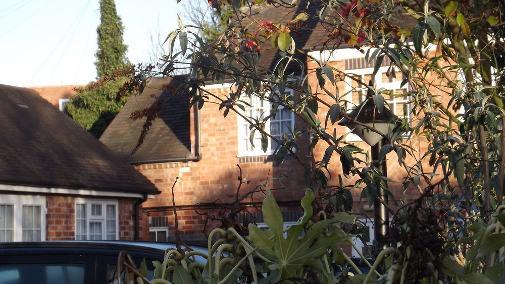 The Peacock Townhouse Hotel Kenilworth - Warwick Extérieur photo